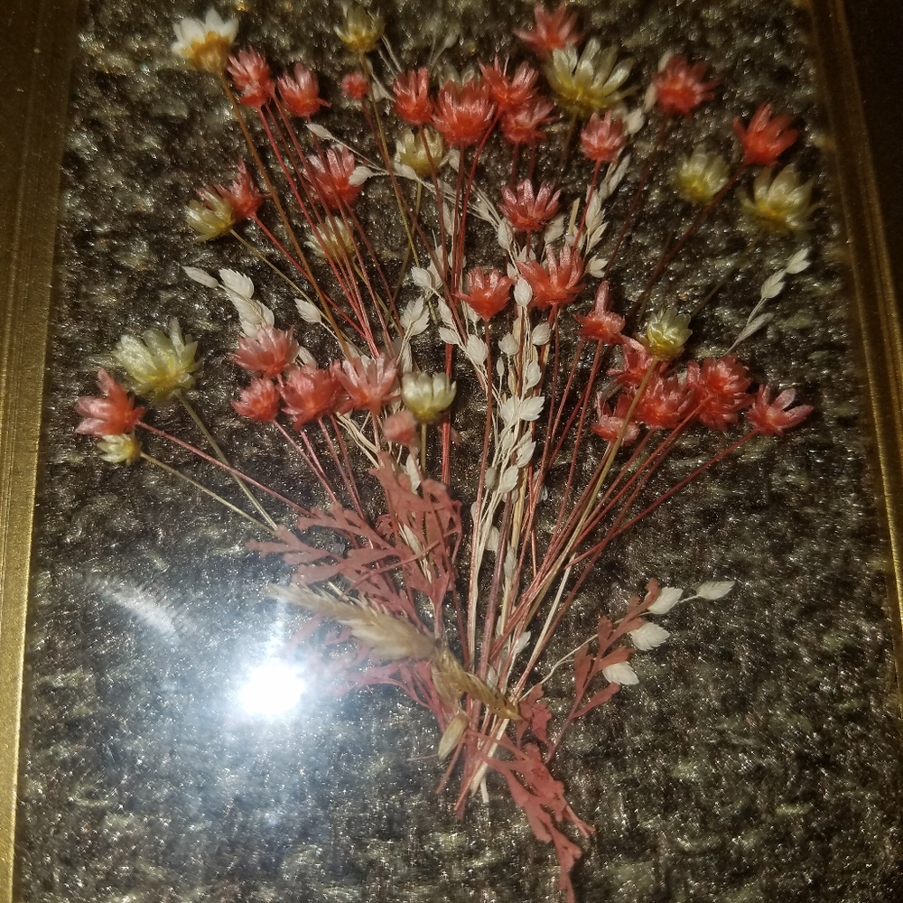 Vintage Dried Flowers Framed Shadow Box Picture - Picture 9 of 16